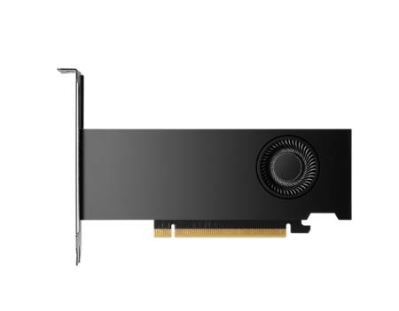 PNY Nvidia RTX 2000 16GB GDDR6 ADA Gen. LP