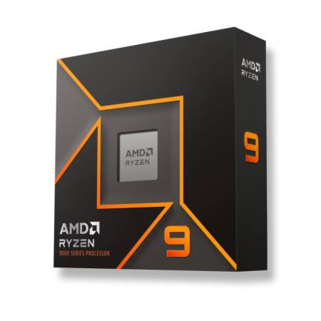 AMD Ryzen 9 9900X 12C/24T (4.4GHz / 5.6GHz Boost