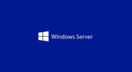 Windows Server CAL 2025 English 1pk DSP OEI 1 Clt Device CAL