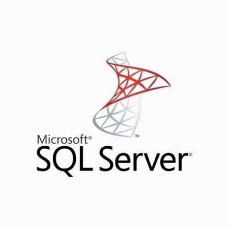 Microsoft SQL Server 2022 Standard with Windows Server 2025 Datacenter ROK (16 core) - Multilang